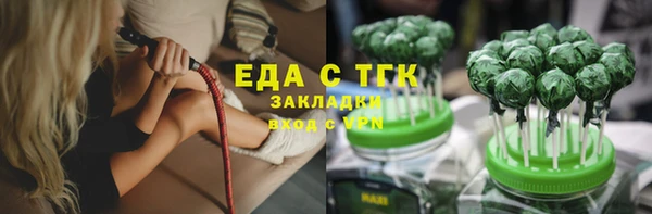 mdpv Богородицк