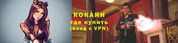 mdpv Богородицк