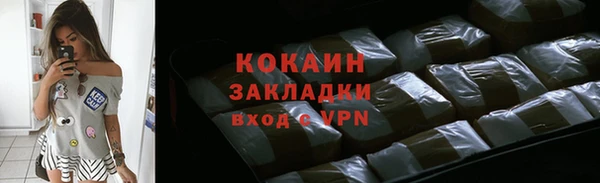 mdpv Богородицк